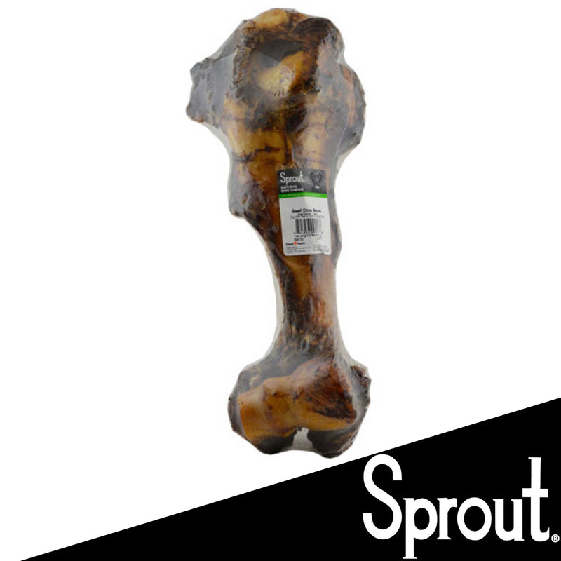 Sprout Beef Dino Bone For Dogs