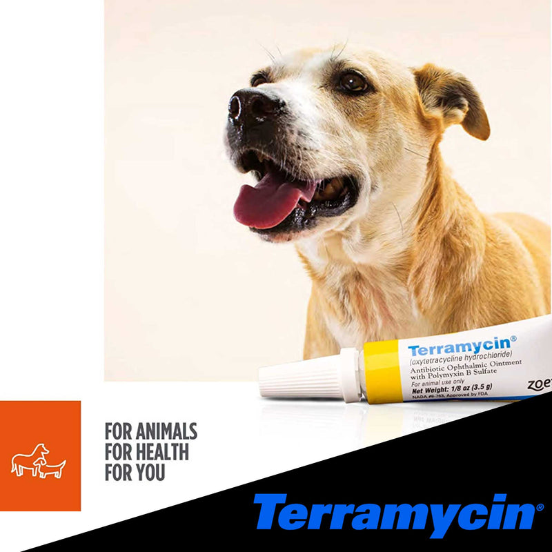 Antibiotic Ophthalmic Ointment for Pets 1/8 oz