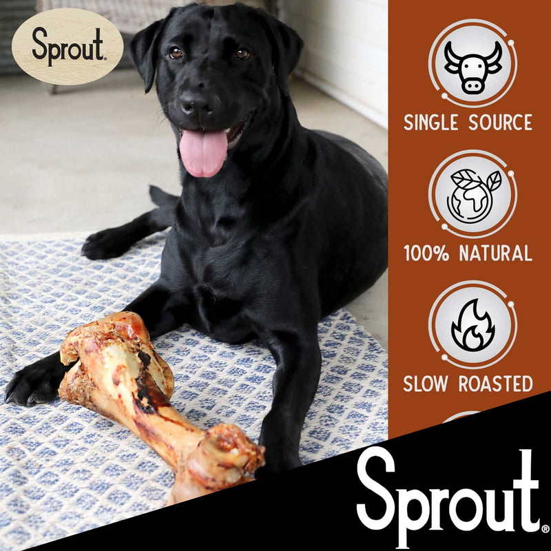 Sprout Beef Dino Bone For Dogs