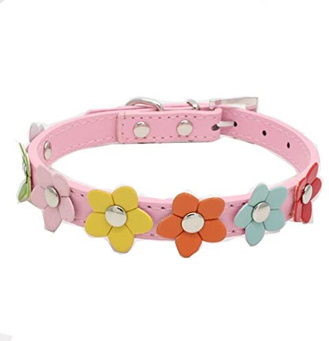 Fashion Shop PU Pet Dog Collar Colorful Flower