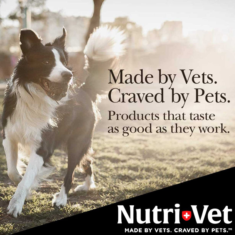 Hip & Joint Chewable Dog Supplements