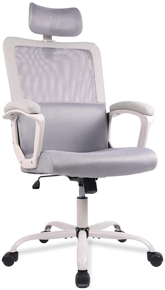 Ergonomic Mesh Home Office Computer Chair with Lumbar Support