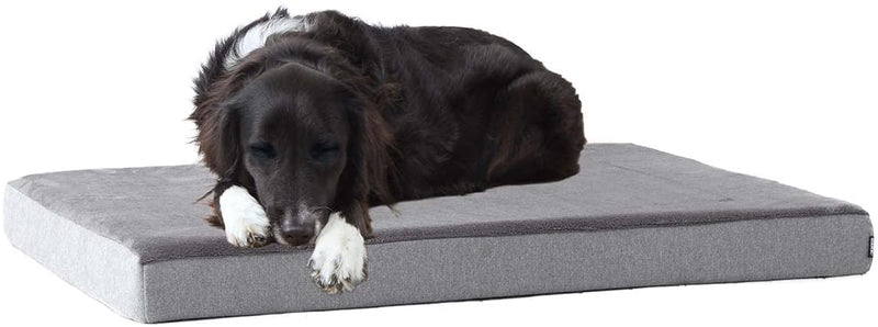 Barkbox Memory Foam Platform Dog Bed | Plush Mattress