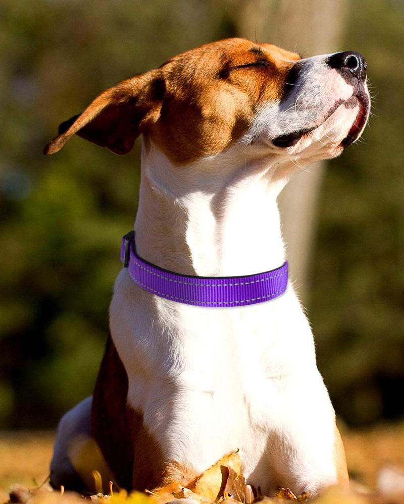 Joytale Reflective Dog Collar,12 Colors