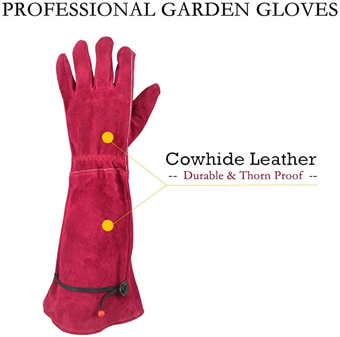 Long Ladies Thorn Proof Garden Gloves