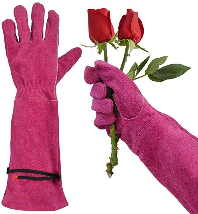 Long Ladies Thorn Proof Garden Gloves