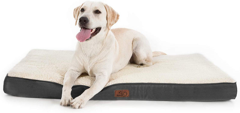 Bedsure Large Dog Bed for Large Dogs - Big Orthopedic