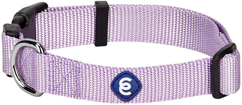 Blueberry Pet Essentials 20+ Colors Classic Nylon Adjustable Dog Collars