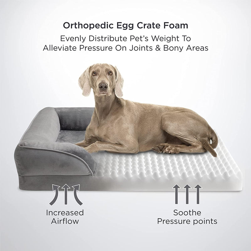 Orthopedic Dog Bed for Medium Dogs - Waterproof Dog Bed Medium, Foam Sofa