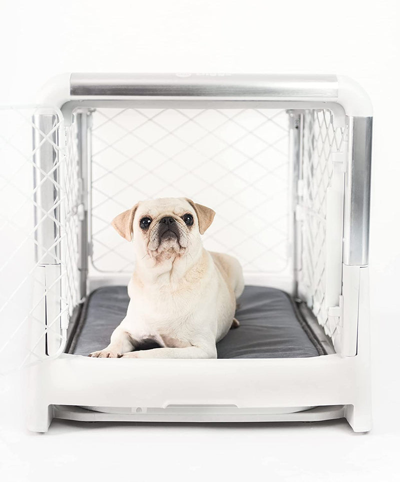 Diggs Revol Dog Crate (Collapsible Dog Crate, Portable Dog Crate, Travel Dog Crate, Dog Kennel)