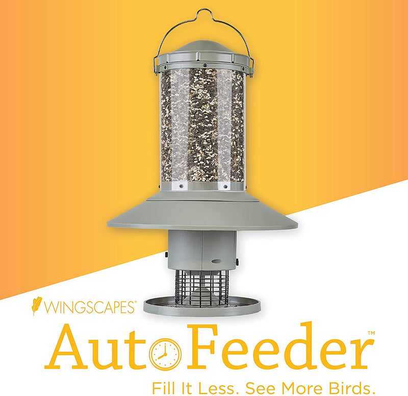 Wingscapes AutoFeeder® Automatic Bird Feeder