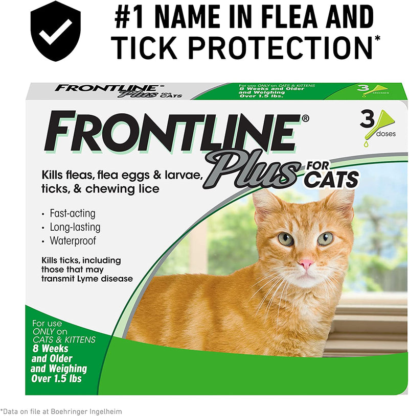 Plus Flea and Tick Treatment for Cats