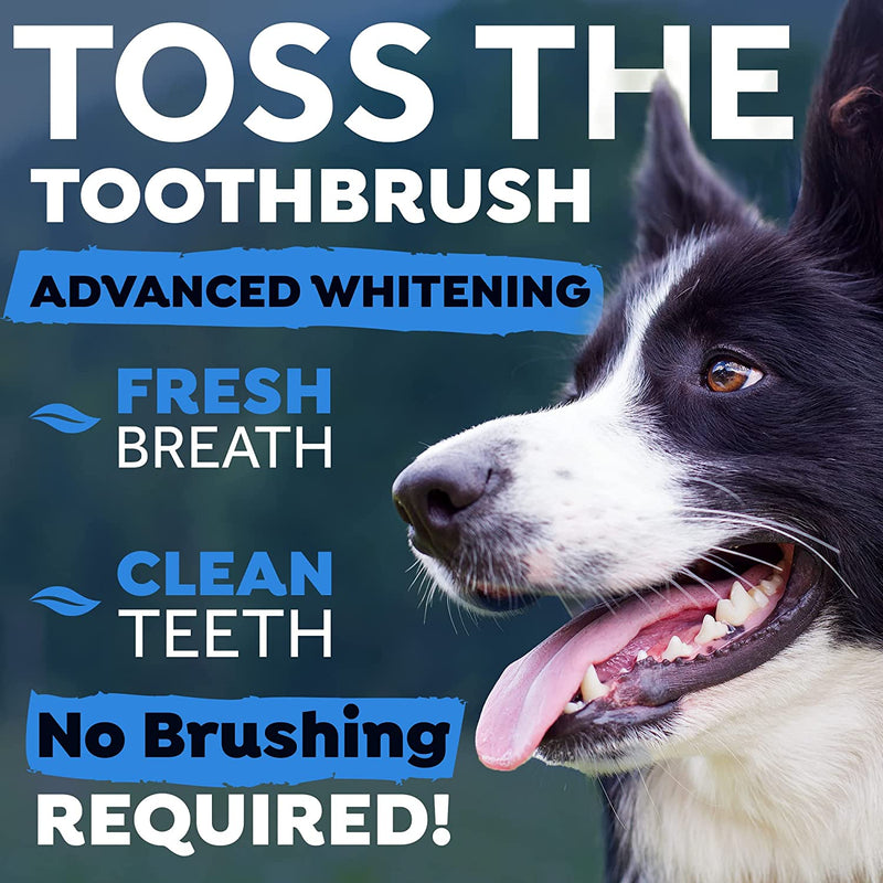 Fresh Breath Oral Care Water Additive for Dogs, 33.8oz - Dog Breath Freshener + Advanced Whitening
