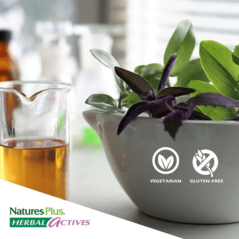 NaturesPlus Herbal Actives NutriZAC Mood Food - 300 mg